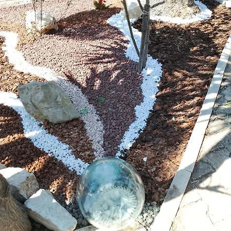 Il Regno Dell'abiba Bisceglie